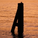 Pilings in the Hudson River